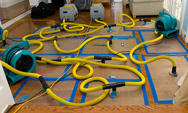 Professional Flood Damage Restoration technician working in Riverside, CA